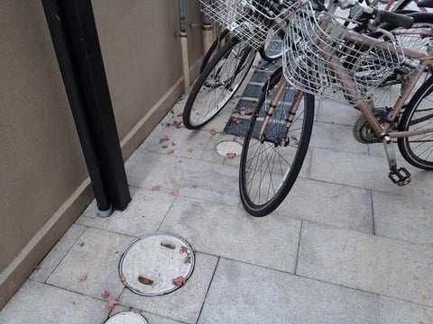 日常清掃で駐輪場の掃き清掃前